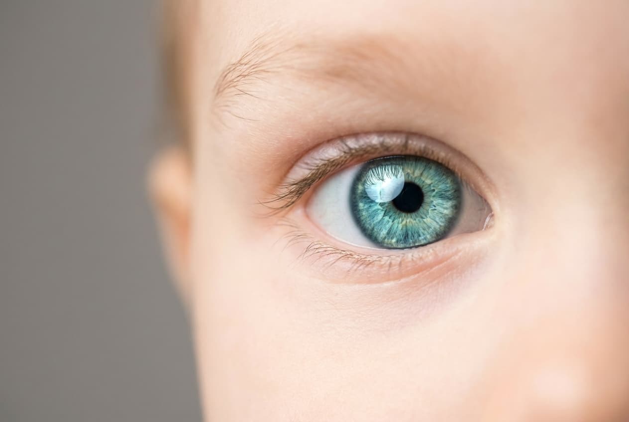 Parfum dans les yeux enfant : les gestes de secours Gros plan macro sur l'œil brillant et sain d'un petit enfant.