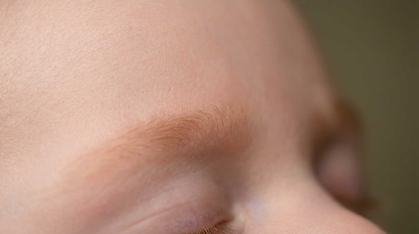 Photographie macro montrant les nuances de couleurs des poils du sourcil chez un bébé roux.