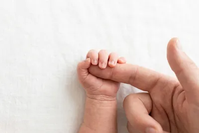 Gros plan iconique d'une main de bébé serrant le doigt d'un adulte sur fond blanc.